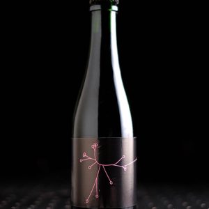 SPO | Gose Brett’s | Fermentation Mixte | 6,4%