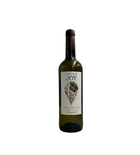 Domaine De Joy Cuvee Ode A La Joie Blanc 2022 (Gascogne)
