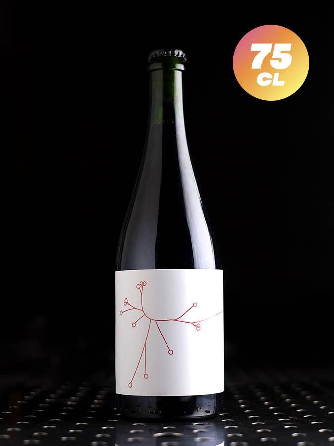 SPO | Petits Fruits Rouges du Jardin | Farmhouse / Wild | 6,4%