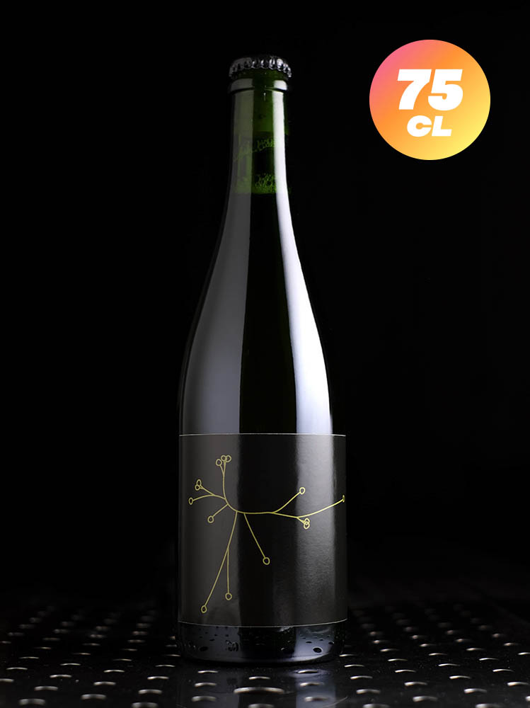 SPO | Saison sur Lie de Poiré | Saison | 6,4%