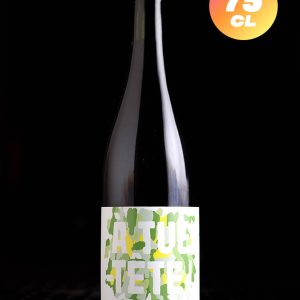À Tue-Tête | Surette Cascade 2021 | Fermentation mixte | 6,7%