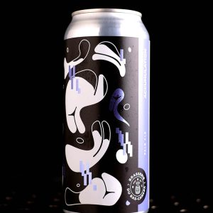 Brasserie du Bas-Canada | Accumulation | Pale Ale | 5,5%