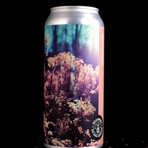 Brasserie du Bas-Canada | Florallusion | Pale Ale | 5,5%
