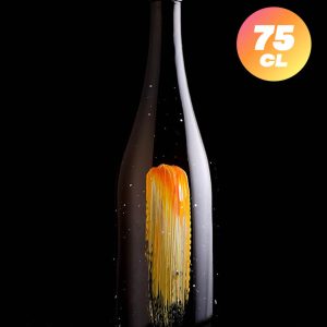 Chubby Brewing | Chablis-Plage | Saison Abricot BA Chablis | 5,7%