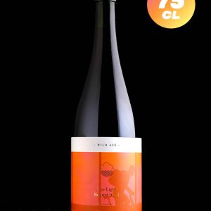 Cloudwater | The Light Behind It All | Wild BA | 7,2%