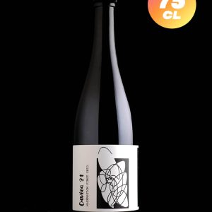 Les Intenables | Cuvée 31 – Saison Pinot Gris | Saison Foudre | 6,7%