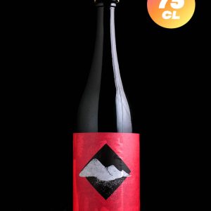 Nano Cinco | Funky Gose | Wild Gose Cranberry Gin | 5,5%