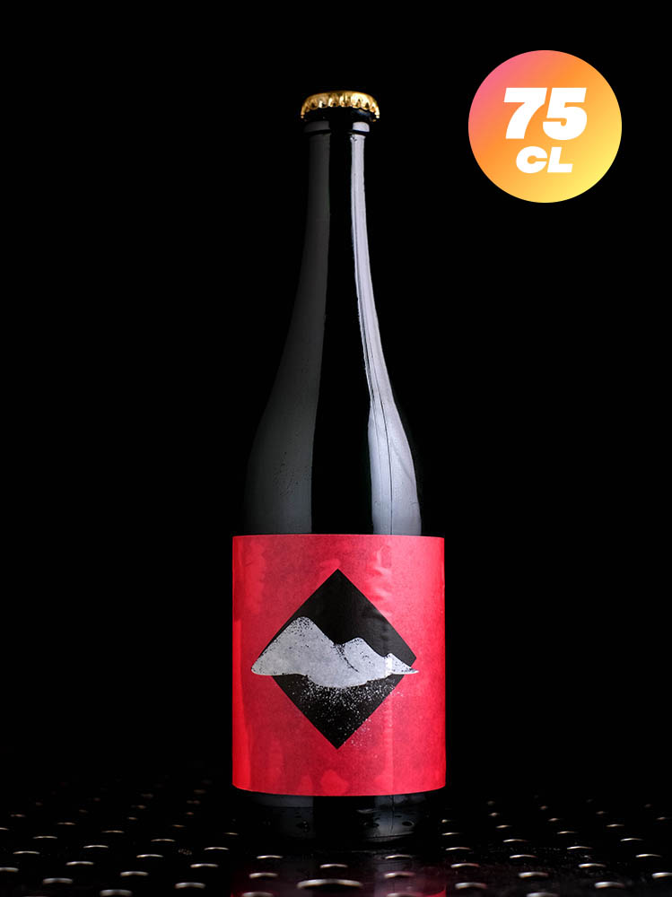 Nano Cinco | Funky Gose | Wild Gose Cranberry Gin | 5,5%