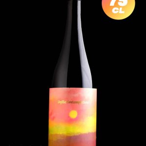 Sante Adairius | Idyllic Contemplations | Saison BA | 4,5%