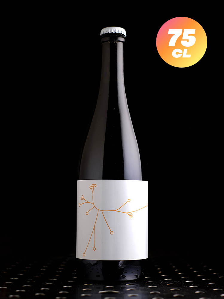 SPO | Abricot d’Amphore 2023 | Saison BA Foudre et Amphore | 6,4%