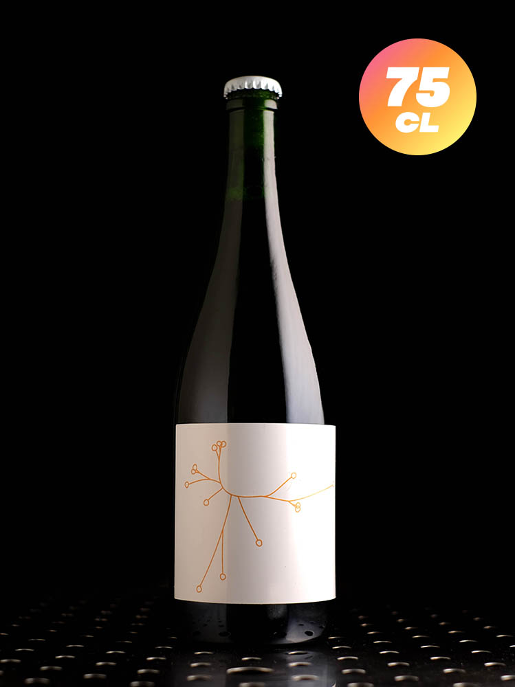 SPO | Abricot MMXXII (2022) | Fermentation Mixte | 5,8%