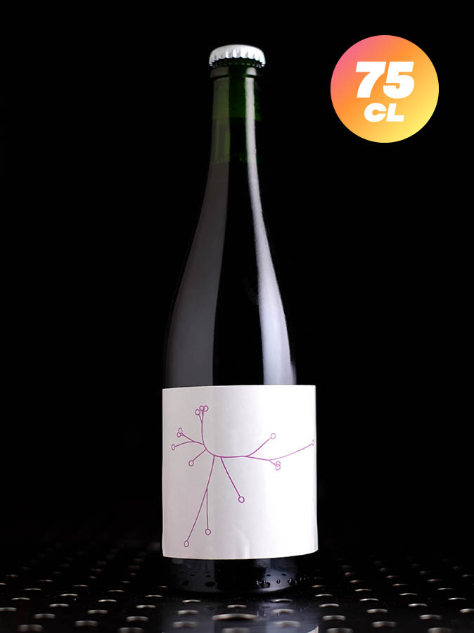 SPO | Gose Framboise | Gose | 6,4%