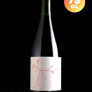 SPO | Petits Fruits Rouges Du Jardin 2023 | Wild | 6,2%