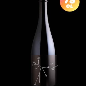 SPO | Plein Soleil | Wild ambrée oxydative | 11%