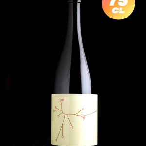 SPO | Rhubarbe & Sureau 2024 | Wild | 5,3%