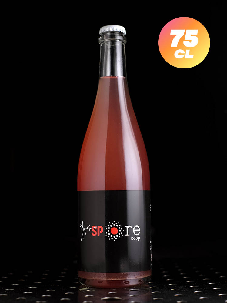 SPO | Spo(2)re | Wild Abricot Raisin Pomme Amphore | 6%