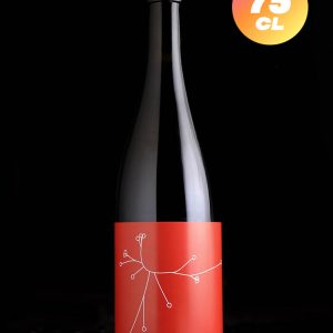 SPO | Stop ou Amphore 004 | Saison | 5,9%