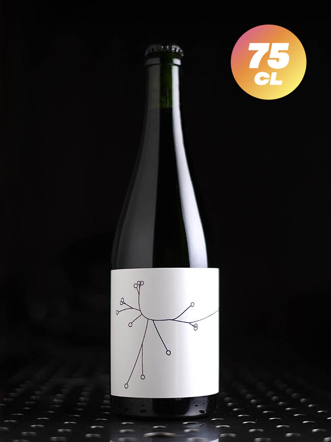 SPO | Sureau MMXXI | Farmhouse | 5,1%