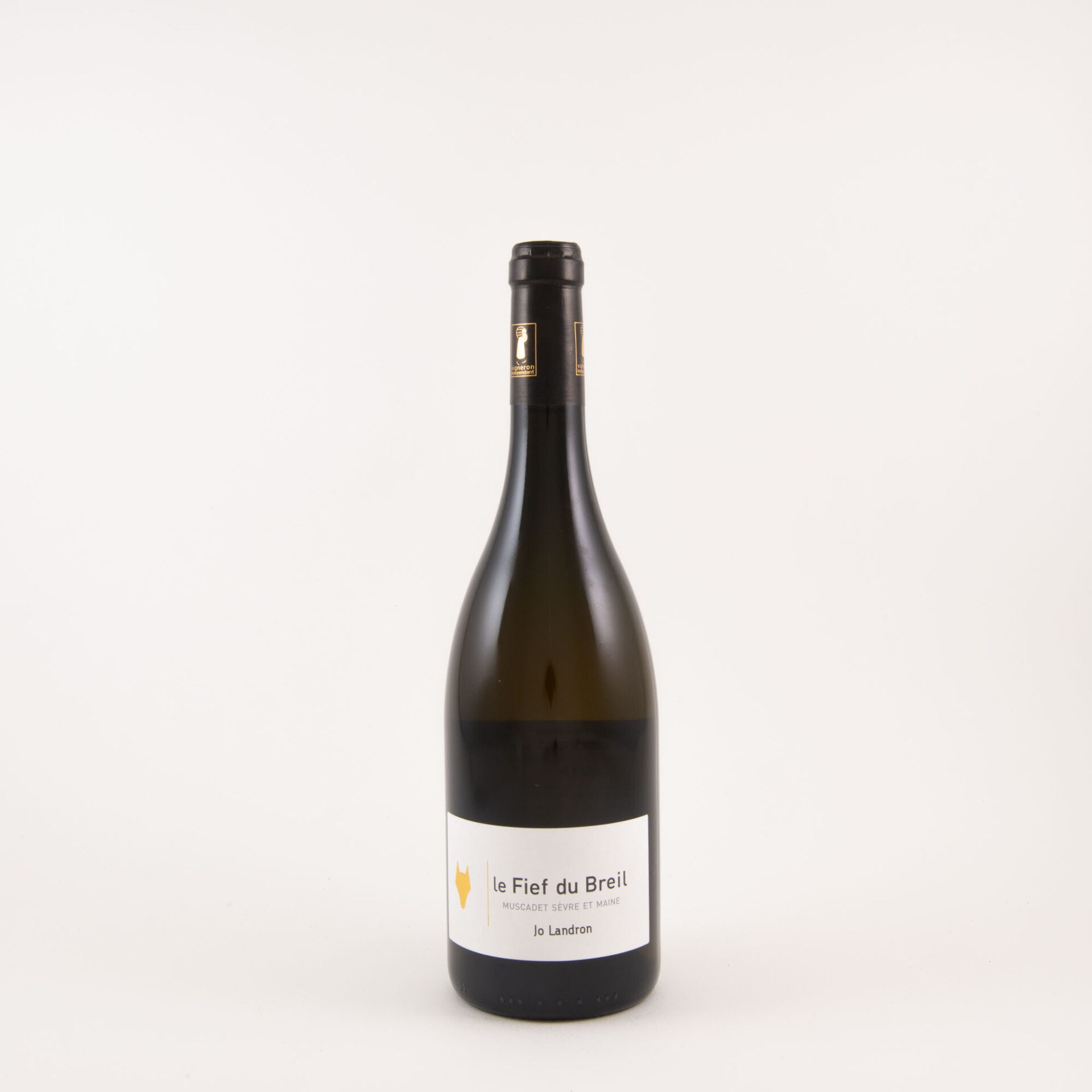 Loire Muscadet Sèvre et Maine sur Lie « Fief du Breil » 2020