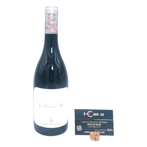 Fronton 2020 – Le pouvoir des fleurs – Lionel Osmin